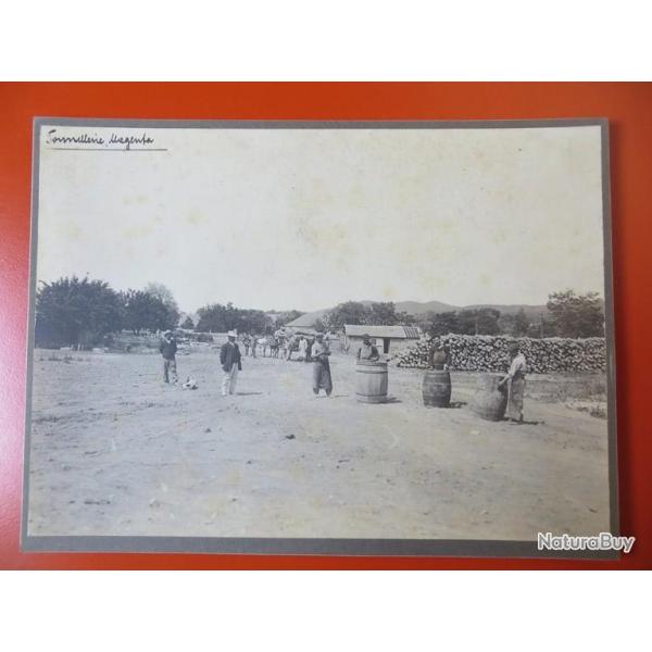 Photo Socit Franaise d'Exploitations Forestires Oran Algrie 1913