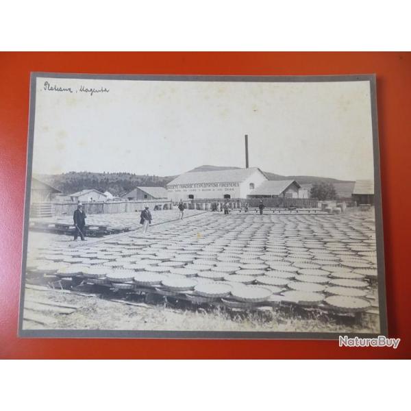 Photo Socit Franaise d'Exploitations Forestires Oran Algrie 1913