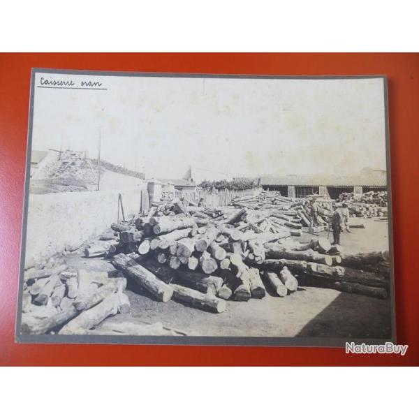 Photo Socit Franaise d'Exploitations Forestires Oran Algrie 1913