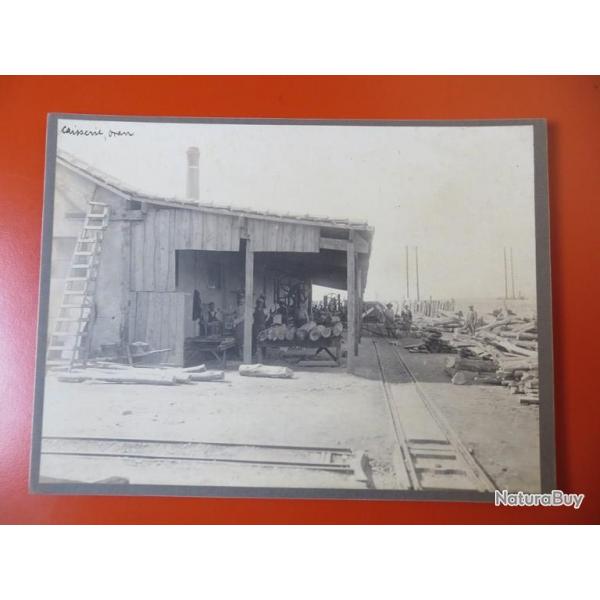 Photo Socit Franaise d'Exploitations Forestires Oran Algrie 1913