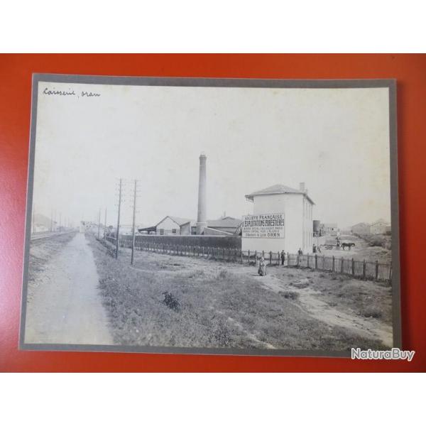 Photo Socit Franaise d'Exploitations Forestires Oran Algrie 1913