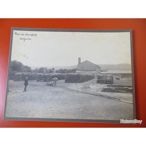 Photo Socit Franaise d'Exploitations Forestires Oran Algrie 1913