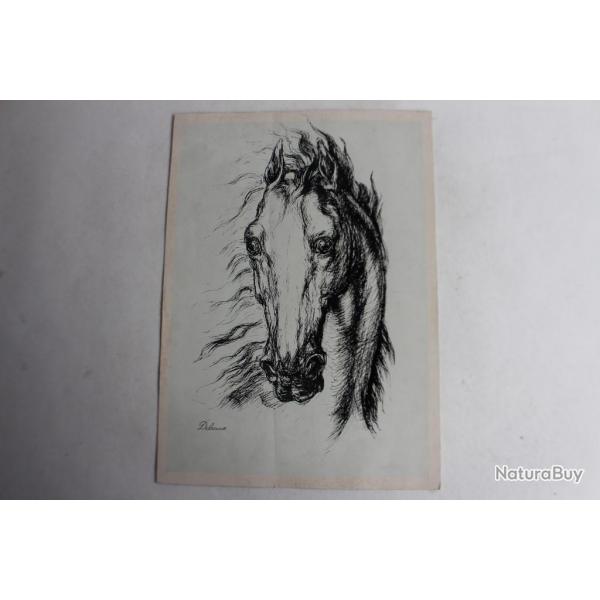 Dessin encre de chine Tte de Cheval Delacoux