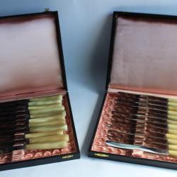 Coffrets 12 couteaux de table + 11 couteaux à dessert corne véritable