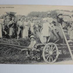 CPA Suisse Scènes Vaudoise n°5146 Au temps des vendanges