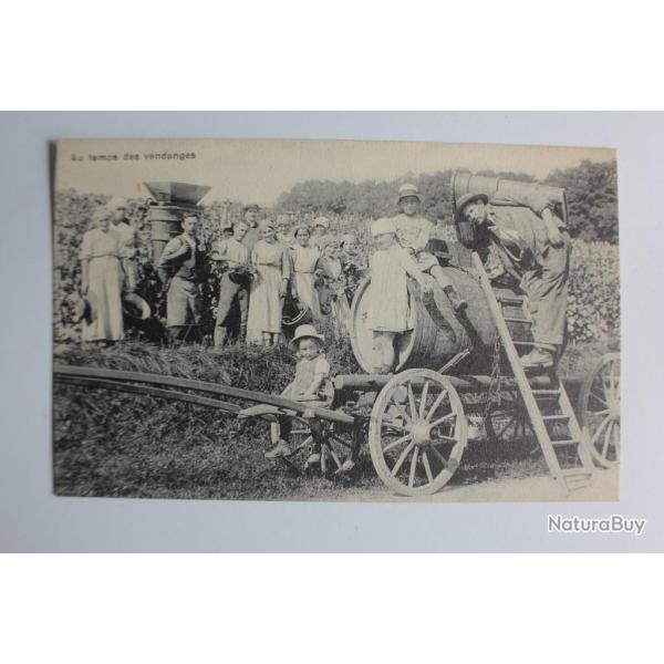 CPA Suisse Scnes Vaudoise n5146 Au temps des vendanges