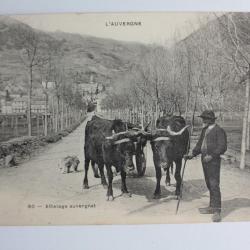 CPA France Auvergne n°80 Attelage auvergnat