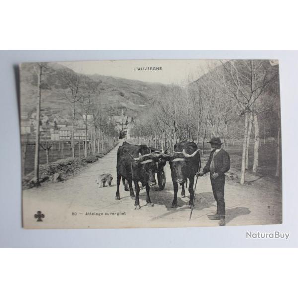 CPA France Auvergne n80 Attelage auvergnat