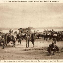 CPA Militaria Peintre armée Serbe Valitch Port Durazzo Guerre