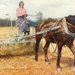 CPA Agriculture Working on the land Cheval Femme agricultrice travail champs