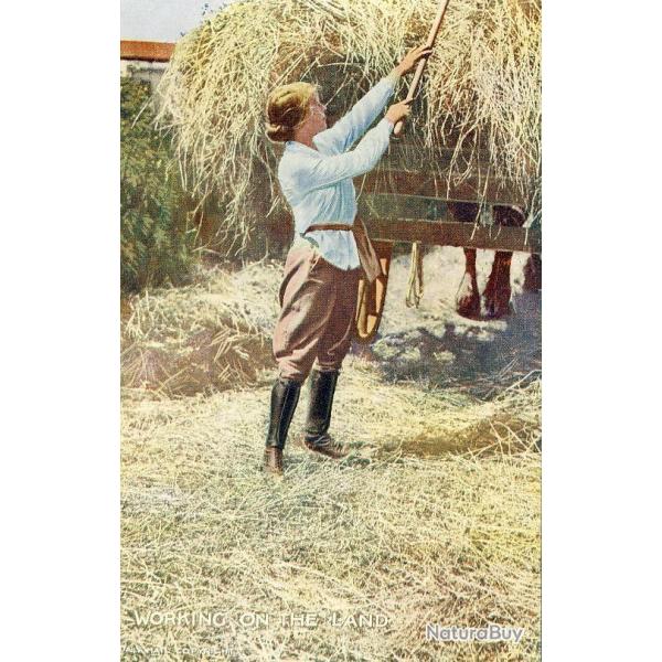 CPA Agriculture Femme paysan Working on the land women Char  foin Oilette