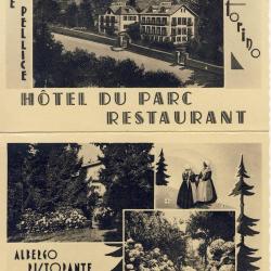 CP ITALIE Torino Publicité Albergo Ristorante Parco Torre Pellice Turin