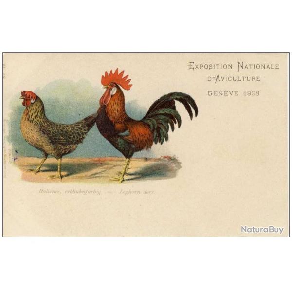 CPA COQ Exposition National dAviculture Genve 1908