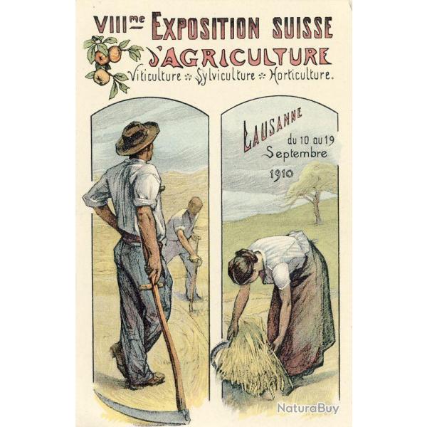 CPA VIII me Exposition Suisse d'Agriculture Lausanne 1910 Illustrateur N3
