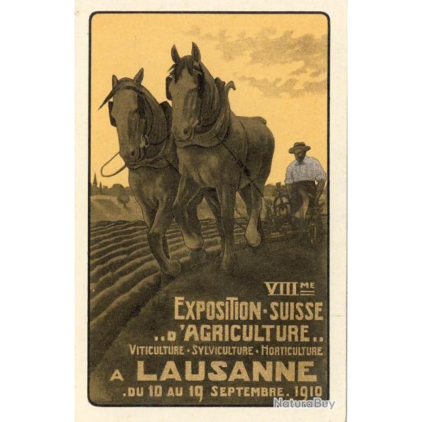 CPA VIII me Exposition Suisse d'Agriculture Lausanne 1910 Illustrateur N1