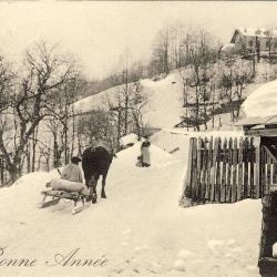 CPA Bonne Année 1908 Scène de petit village luge