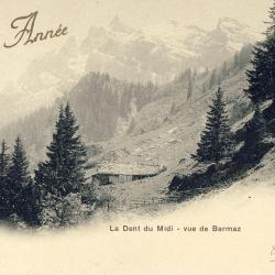 CPA Bonne Année 1905 La dent du midi vue de Barmaz Suisse