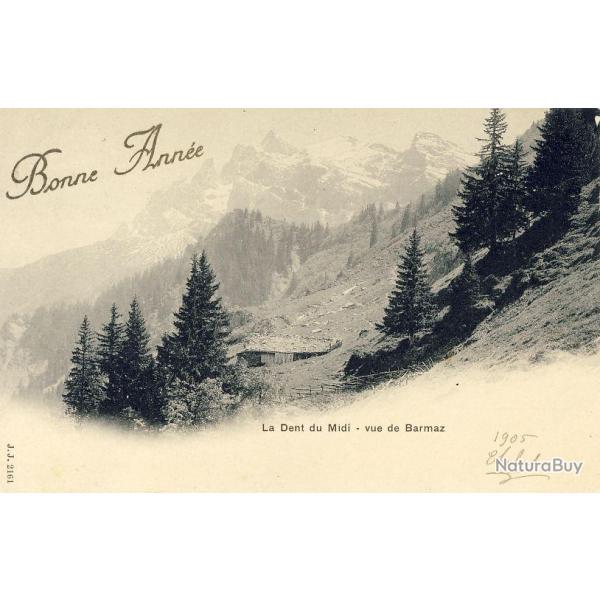 CPA Bonne Anne 1905 La dent du midi vue de Barmaz Suisse