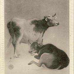 CPA Carte Postale illustrée Signe chinois Année du BUFFLE