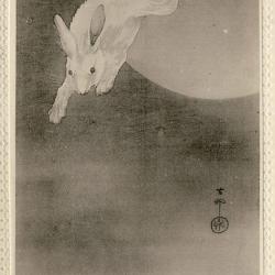 CPA Carte Postale illustrée Signe chinois Année du LAPIN