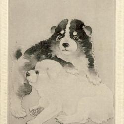 CPA Carte Postale illustrée Signe chinois Année du CHIEN