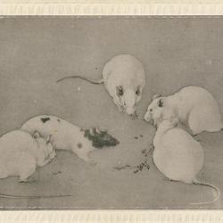 CPA Carte Postale illustrée Signe chinois Année du RAT