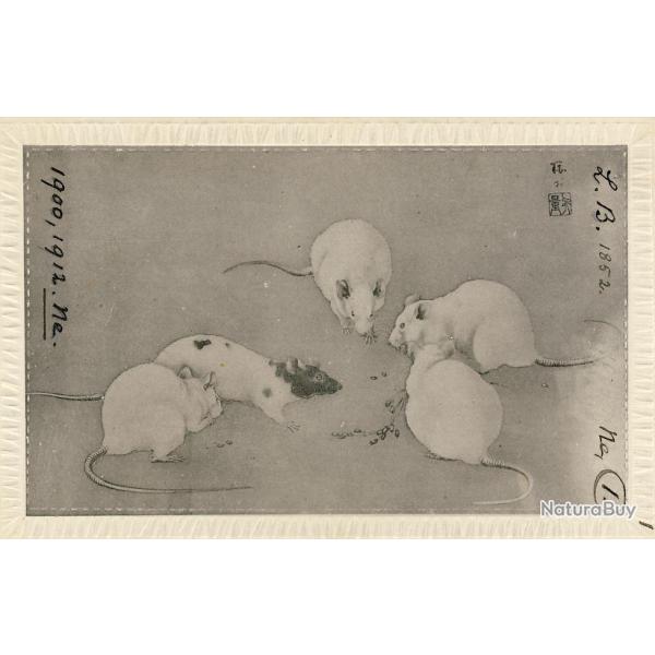 CPA Carte Postale illustre Signe chinois Anne du RAT