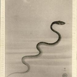 CPA Carte Postale illustrée Signe chinois Année du SERPENT