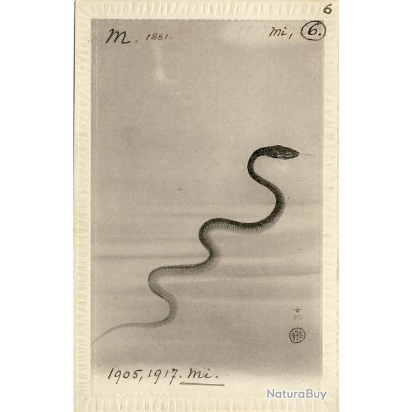 CPA Carte Postale illustre Signe chinois Anne du SERPENT