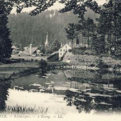 CPA 88 VOSGES GERARDMER L'Étang et vue sur le village LL