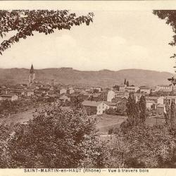 CPA 69 Rhône Saint Martin en Haut bois du petit village