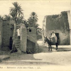 CPA Algérie BISKRA Habitations Arabes dans l'oasis