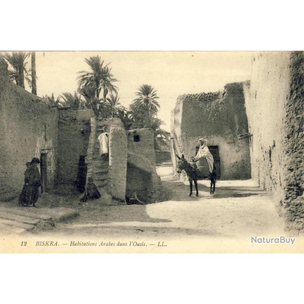 CPA Algrie BISKRA Habitations Arabes dans l'oasis