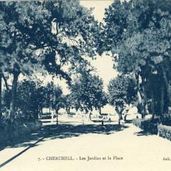 CPA Algérie Cherchell Les jardins et la Place