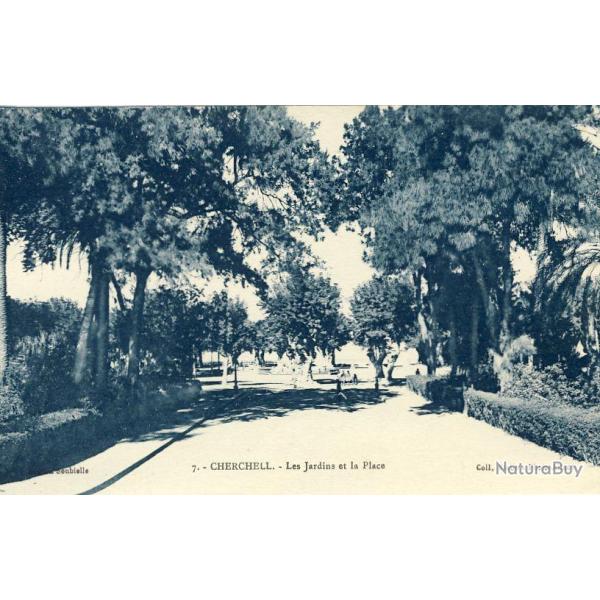 CPA Algrie Cherchell Les jardins et la Place