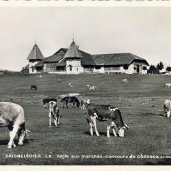 CP Suisse Jura Saignelégier Halle aux marchés Concours de chevaux