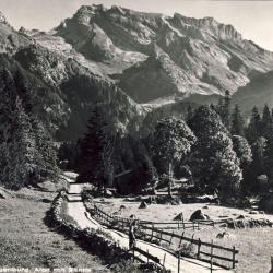 CP Suisse Saint Gall Toggenburg Alpti mit Säntis ferme
