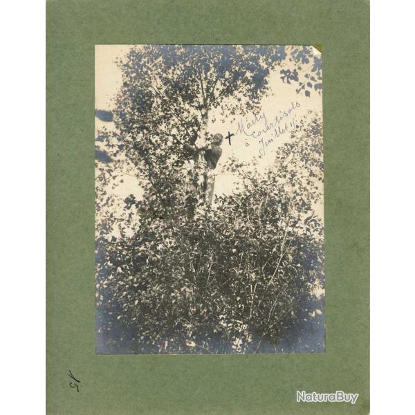 Photographie Ancienne Guerre Marty Courtisols 1915