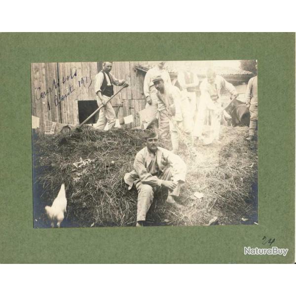 Photographie Ancienne Guerre Corve fumier Courtisols