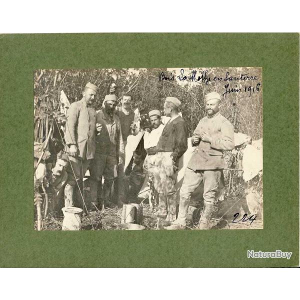 Photographie Ancienne Guerre Bois La Mothe en Sauterre