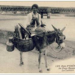 CPA 64 Basses Pyrénées Pays Basques Laitière
