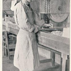 CPA Militaria Aveugle Famille du Rameau d'Olivier N°44