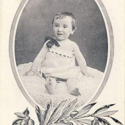 CPA Militaria Aveugle Famille du Rameau d'Olivier N°73