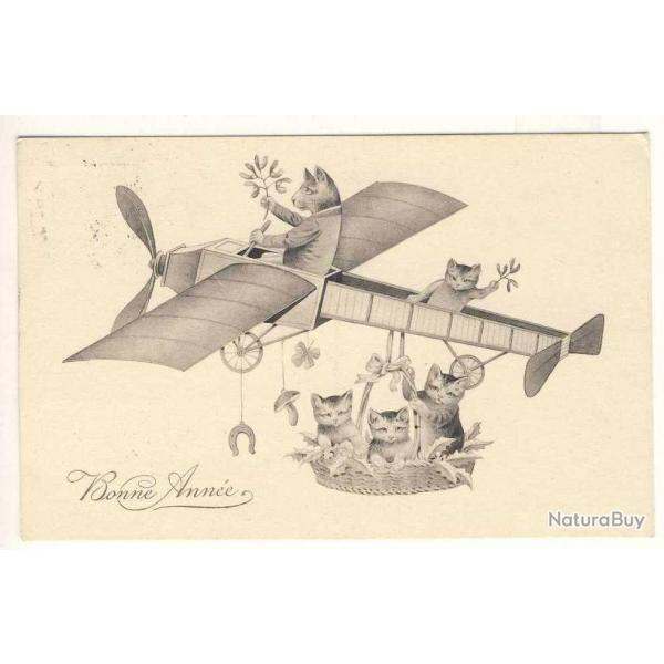 CPA illustre Bonne Anne Avion Chat Chance Trfle