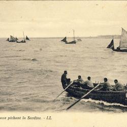 CPA Bateau pêchant la sardine au milieu de voiliers LL