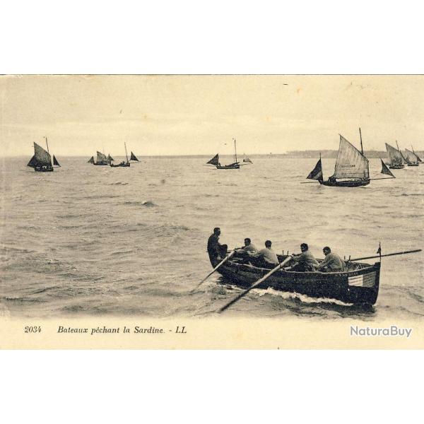 CPA Bateau pchant la sardine au milieu de voiliers LL