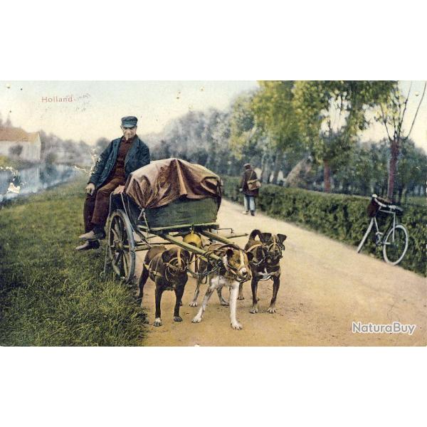 CPA Pays-Bas Holland Honderkar Attelage  chiens 1911