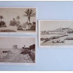 Lot de 3 Photos Cannes Monaco Ile Fort Port Jardins