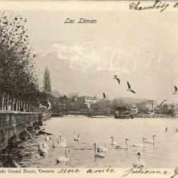 CPA Suisse Genève Lac Léman Grand Bazar 1903