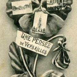 CPA 78 YVELINES Une pensée de Versailles Fleur